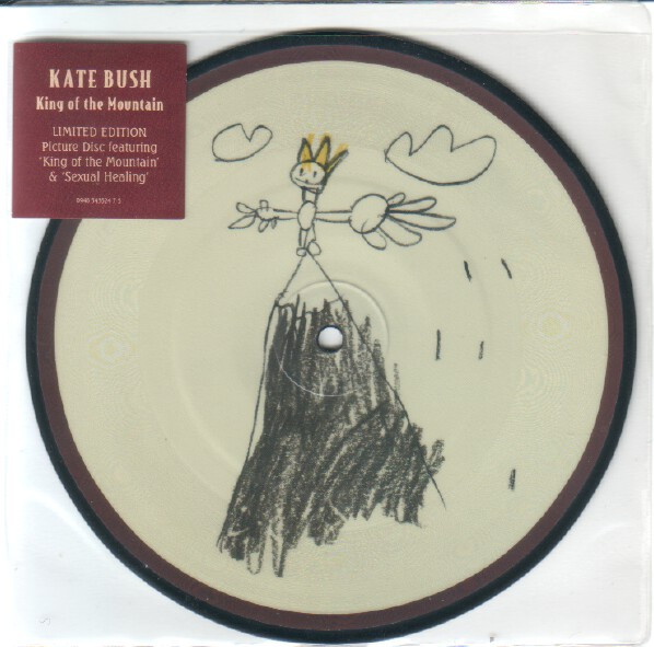 Kate Bush – King Of The Mountain (2005, Vinyl) - Discogs