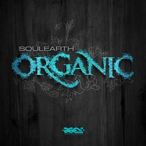 Album herunterladen Soulearth - Organic
