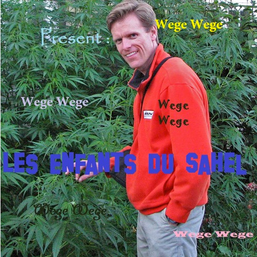 ladda ner album Les Enfants Du Sahel - Wege Wege