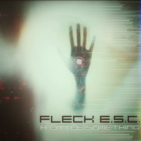 descargar álbum Fleck ESC - A Little Something