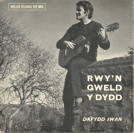 baixar álbum Dafydd Iwan - Rwyn Gweld Y Dydd