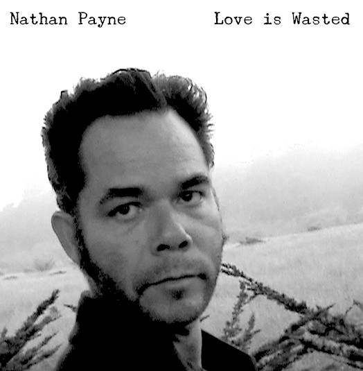 télécharger l'album Nathan Payne - Love is Wasted