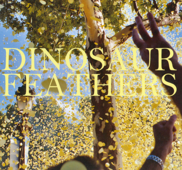ladda ner album Dinosaur Feathers - Whistle Tips