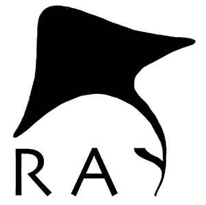 Rayrecordings on Discogs
