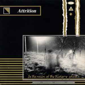 Attrition - In The Realm Of The Hungry Ghosts album cover