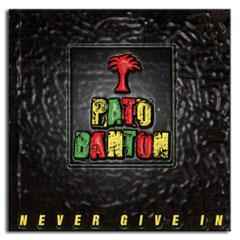 Pato Banton - Never Give In album cover