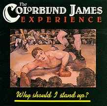 Why Should I Stand Up? - The Colorblind James Experience