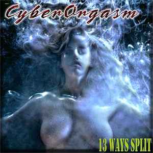 Cyber Orgasm 13 Way Split 2011 CDr Discogs