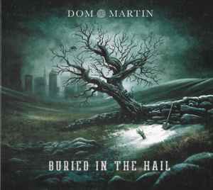 Dom Martin - Buried In The Hail album cover