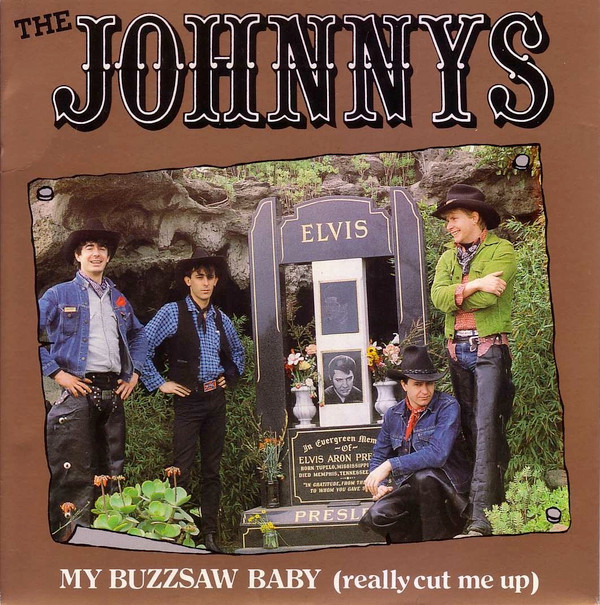 ladda ner album Download The Johnnys - My Buzzsaw Baby Really Cut Me Up album