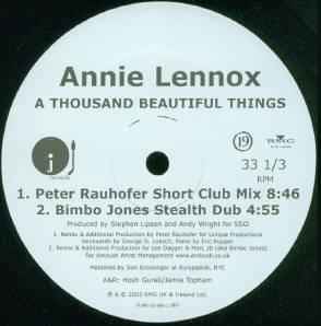 A Thousand Beautiful Things - Annie Lennox