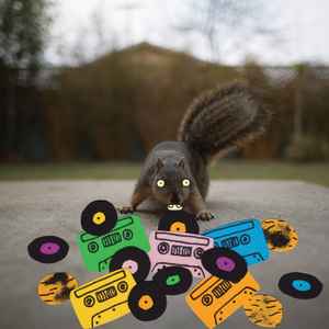 Evidence (2) - Squirrel Tape Instrumentals album cover