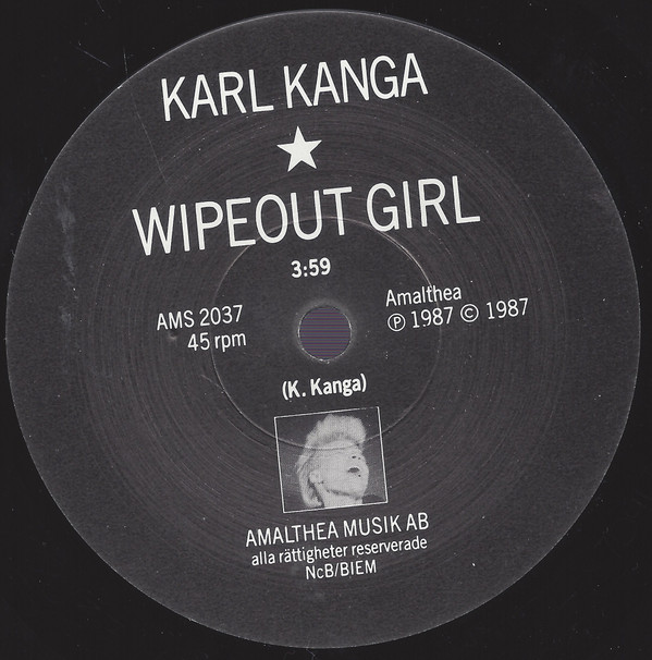 ladda ner album Karl Kanga - Wipeout Girl