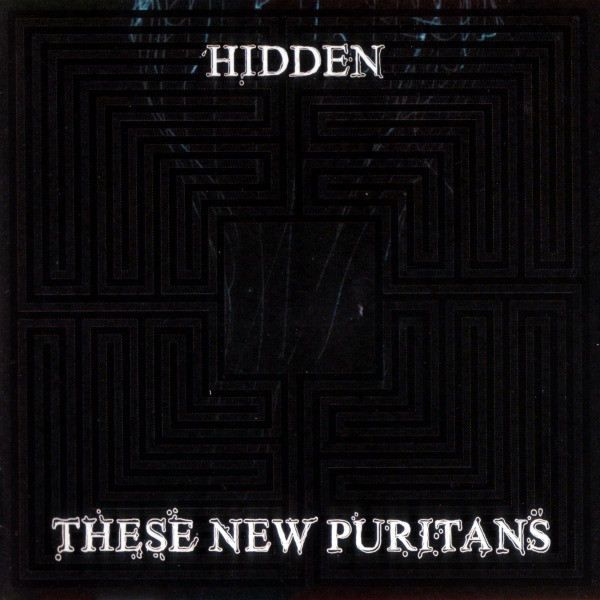 These New Puritans - Hidden | Releases | Discogs