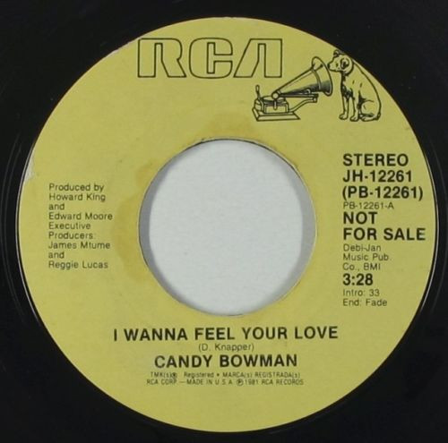 Candy Bowman – I Wanna Feel Your Love (1981, Vinyl) - Discogs