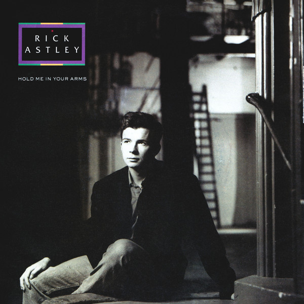 Rick Astley – Never Gonna Give You Up (1987, Vinyl) - Discogs