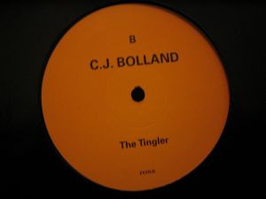 ladda ner album CJ Bolland - Desolate 1 The Tingler
