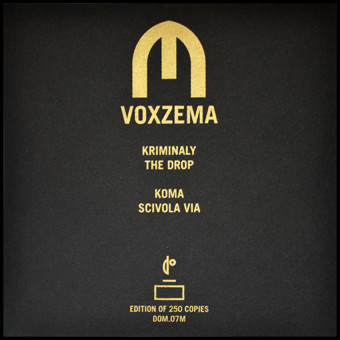 last ned album Voxzema - Voxzema