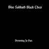 Blue Sabbath Black Cheer - Drowning In Hate album art