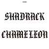 Shadrack Chameleon* - Shadrack Chameleon