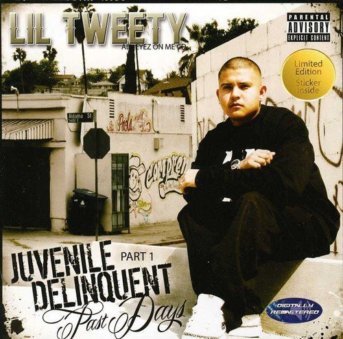 lataa albumi Lil Tweety - Juvenile Delinquent Days
