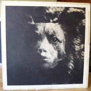 Vinyl Sticker - Suspicious Black Cat | CUSTOM PET PORTRAITS