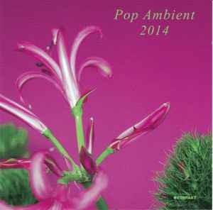 Pop Ambient 2014 - Various