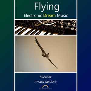 Arnaud van Beek - Flying - Electronic Dream Music album cover