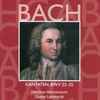 Bach*, Gustav Leonhardt, Nikolaus Harnoncourt - Kantaten, BWV 22-25 Vol.8