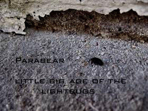 Album herunterladen parabear - Little Big Age Of The Lightbugs