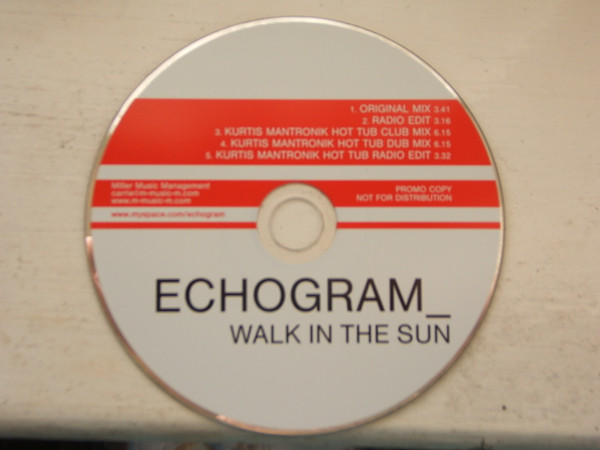 last ned album Echogram - Walk In The Sun