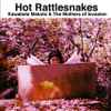 Kawabata Makoto & The Mothers Of Invasion - Hot Rattlesnakes