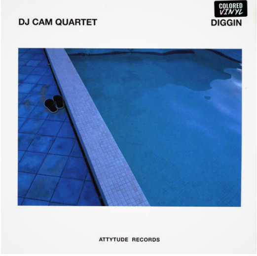 DJ Cam Quartet – Diggin' (2009, Vinyl) - Discogs