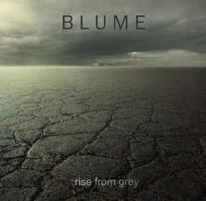 Rise From Grey - Blume