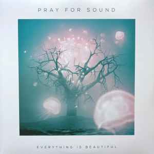 Pray For Sound - Everything Is Beautiful