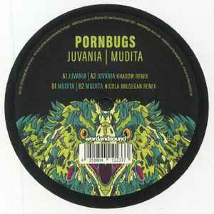 Pornbugs - Juvania / Mudita album cover