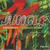 Grooverider / LTJ Bukem / DJ Rap - Fantazia Takes You Into The Jungle