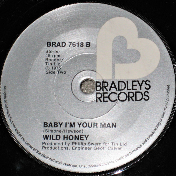 descargar álbum Wild Honey - Why Didnt I Think Of That