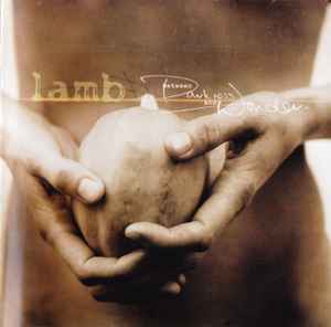 Between Darkness And Wonder - Lamb