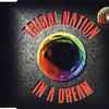 Tribal Nation - In A Dream