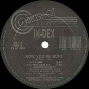 Now You're Gone - In-Dex