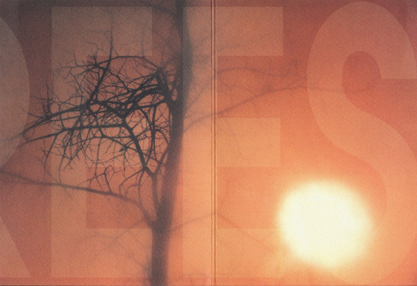 baixar álbum Michael Stearns - The Light In The Trees