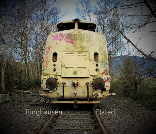 télécharger l'album Ringhausen - Flated