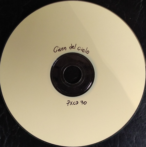 Album herunterladen Juan Manuel Godoy - Caen Del Cielo