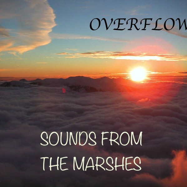 Album herunterladen Sounds From The Marshes - Overflow