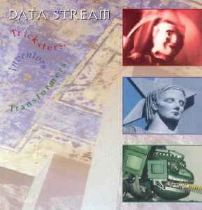 Data Stream - Tricksters, Inventors & Transformers album cover