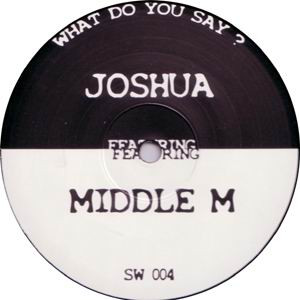 baixar álbum Joshua & Middle M - Striking Wave Vol 4