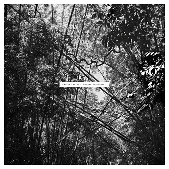Andrew Pekler - Theme From Tristes Tropiques / Avian Modulations / Life In The Canopy