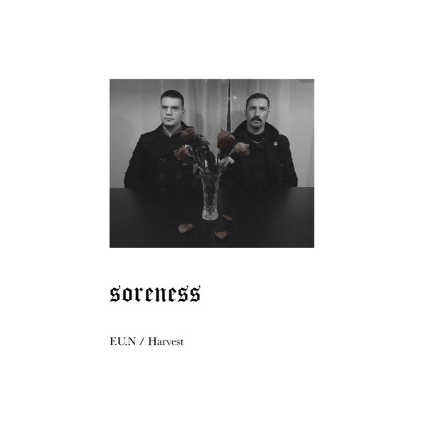 descargar álbum Soreness - FUN