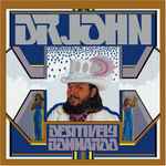 Cover of Desitively Bonnaroo, , Vinyl